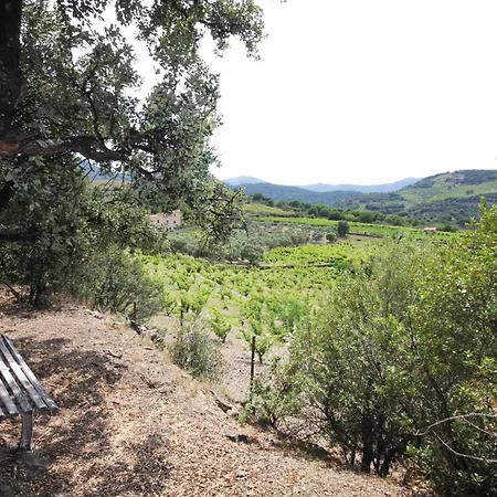 Mar I Munt Apartmán Collioure